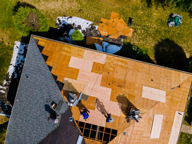 Best Roof Gutter Cleaning  in Cayuga Heights, NY