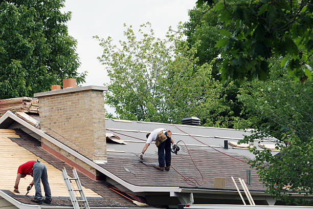 Best Storm Damage Roof Repair  in Cayuga Heights, NY